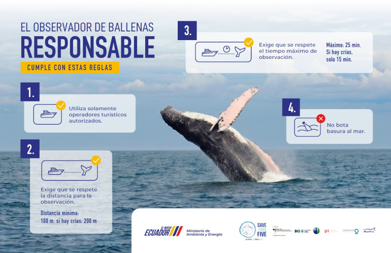 Flyer: El observador de ballenas responsable sigue estas reglas