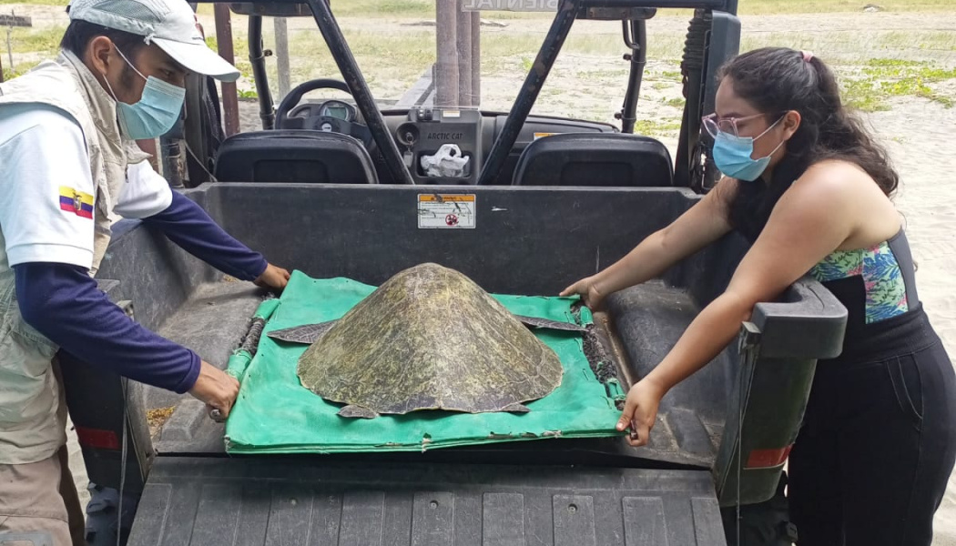 Grupo de personas colaborado en el Área Nacional de Recreación Playas de Villamil 