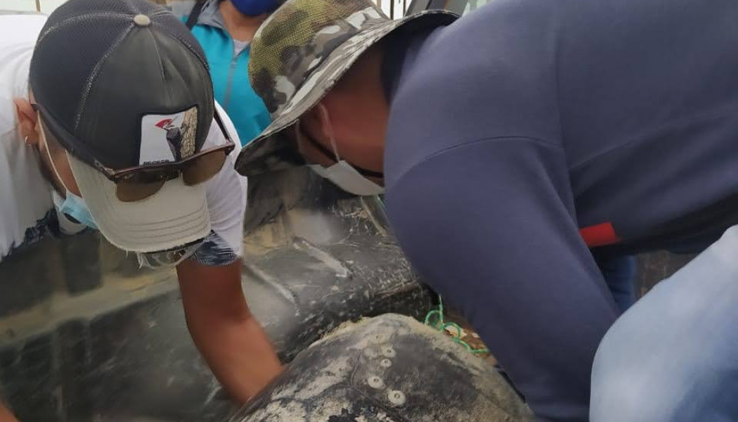 Grupo de personas colaborado en el Área Nacional de Recreación Playas de Villamil 