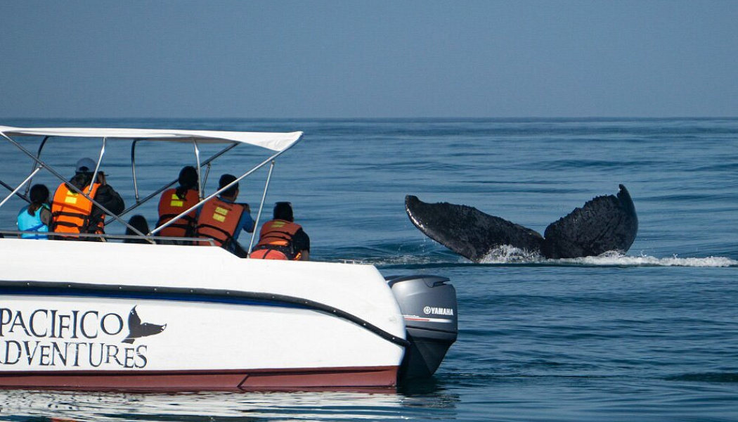 Pacifico Adventures_9