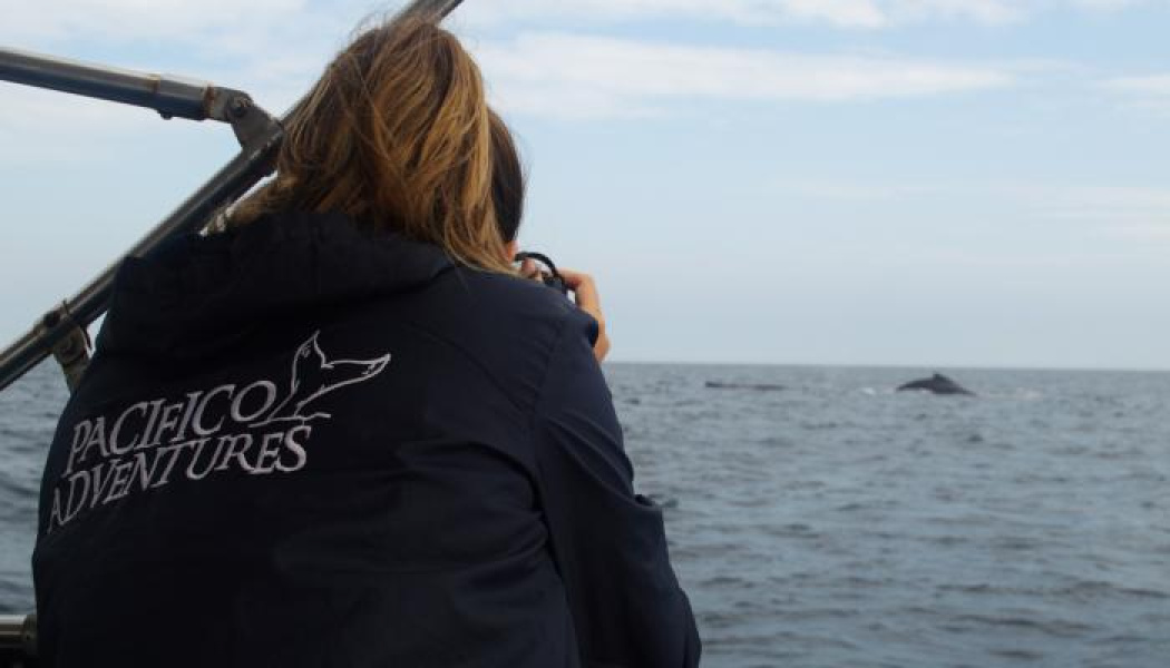 Pacifico Adventures_1
