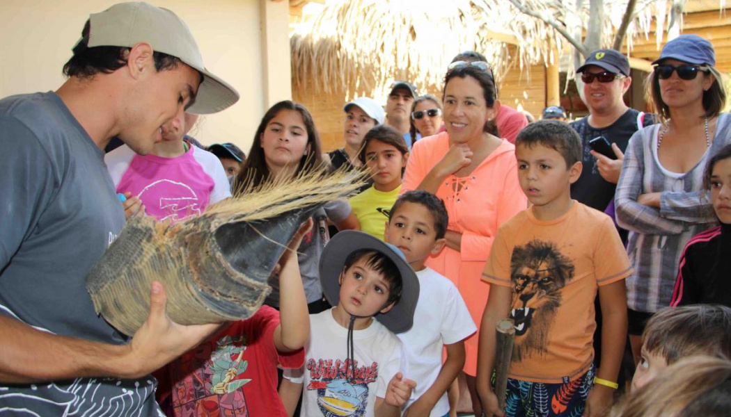 Pacifico Adventures_5