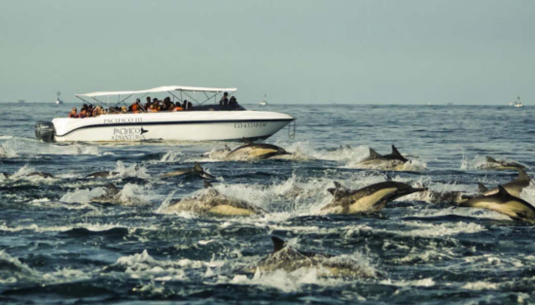 Pacifico Adventures_4