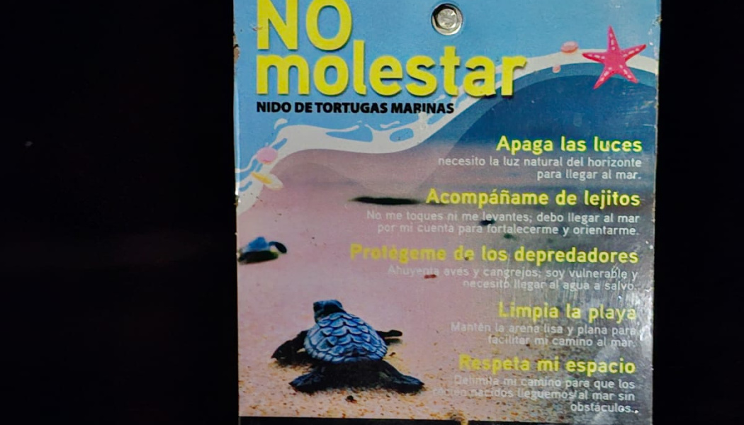 Cartel tortubanks