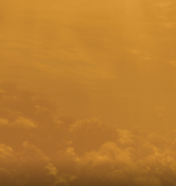 Articulación Multisectorial