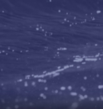 Financiamiento y Viabilidad