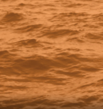 gestion de areas marinas