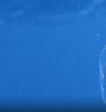 Iniciativas sostenibles