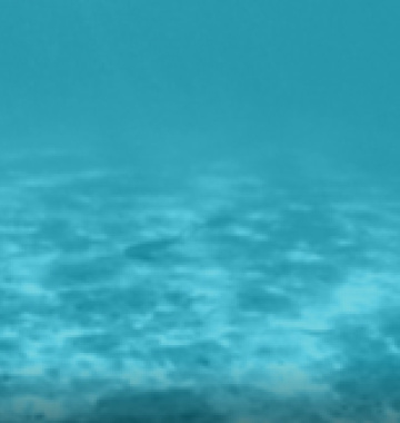 Intercambio de Conocimientos