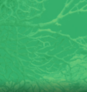 Monitoreo de especies