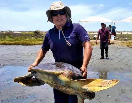 David Sarmiento liberando una tortuga marina