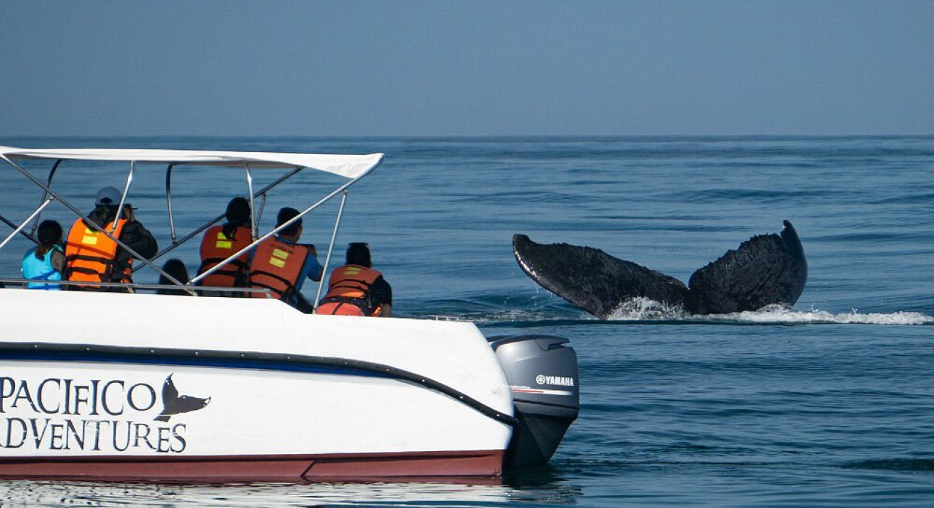 Pacifico Adventures_9