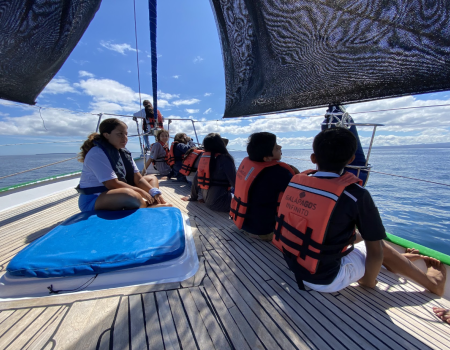 Niños haciendo observación de ballenas