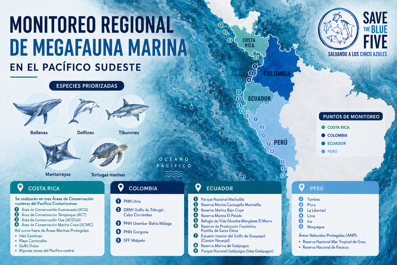 Mapa  Monitoreo Regional de MegaFauna Marina