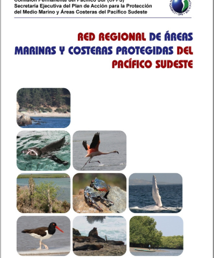 128_AMCP_version2010.pdf