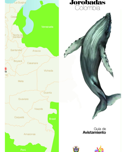 67_GuiaAvistamiento-Ballenas-compressed.pdf
