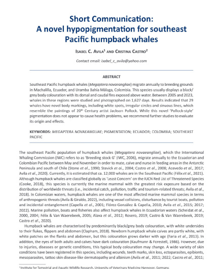 77_2024-Avila-Castro-A-novel-hypopigmentation-for-southeast-Pacific-humpback-whales-Pollock.pdf