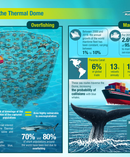 9. MarViva, 2019.1.pdf