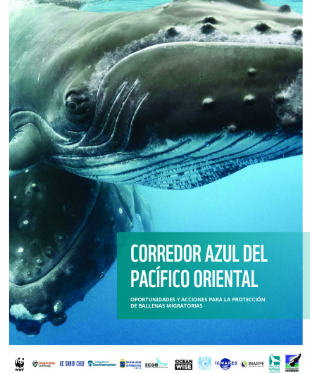 96_informe_corredor_azul_del_pacifico_oriental___wwf_2023.pdf
