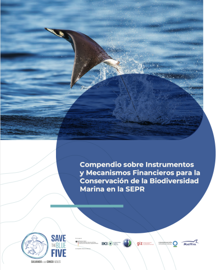 Portada documento Compendio de instrumentos