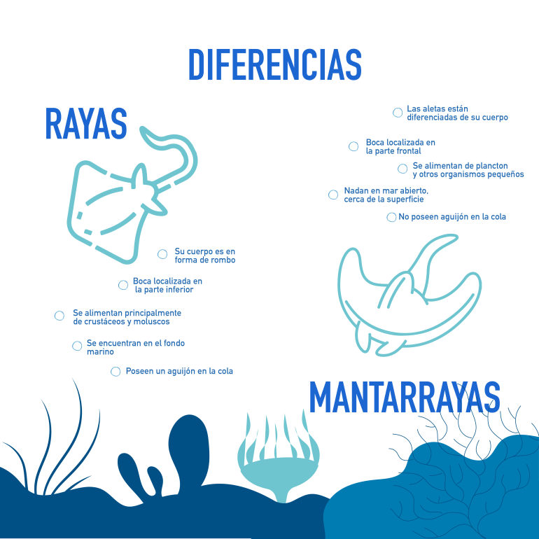 Los cinco azules | Save the blue Five