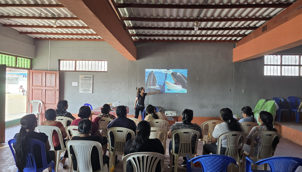 1er taller teórico-práctico titulado “Guardianes del Mar: Conociendo a los Mamíferos y Aves Marinas” para un grupo de mujeres de la comunidad pesquera de San José