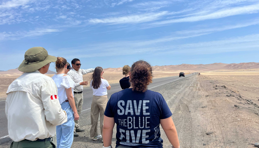 Foto de espaldas de algunos de las personas en la visita de campo