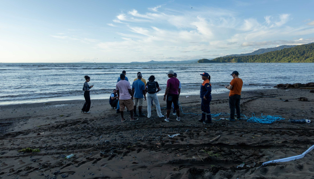 Taller de Capacitación para la Atención de Enmallamientos de Mamíferos Marinos en Bahía Solano, Chocó