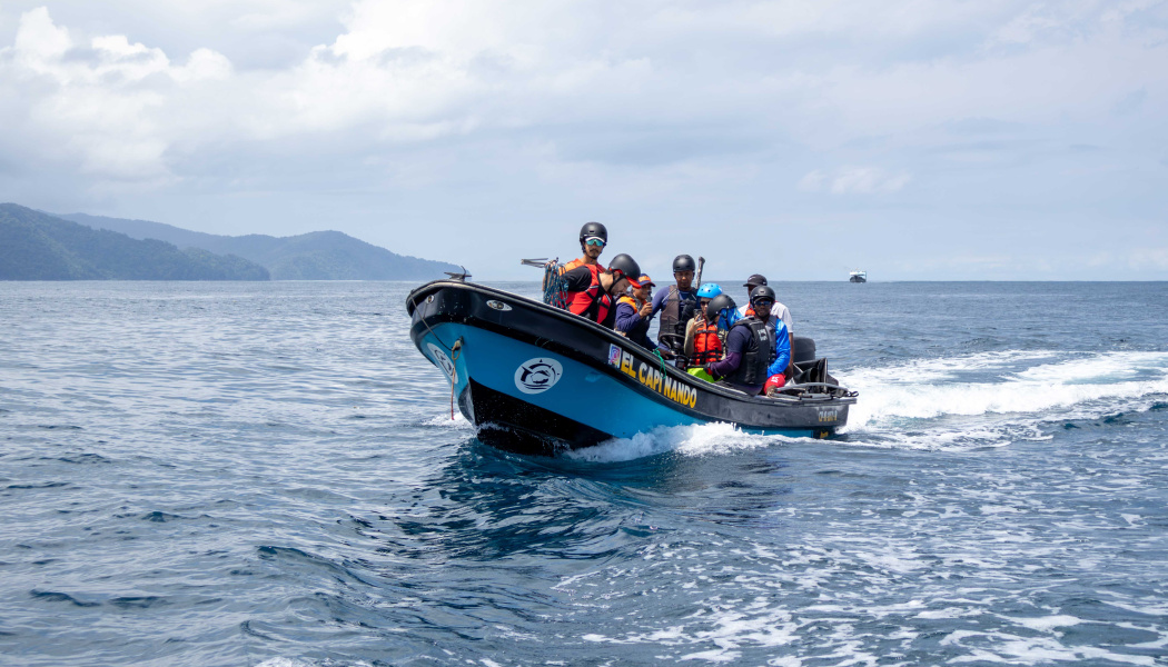 Taller de Capacitación para la Atención de Enmallamientos de Mamíferos Marinos en Bahía Solano, Chocó.