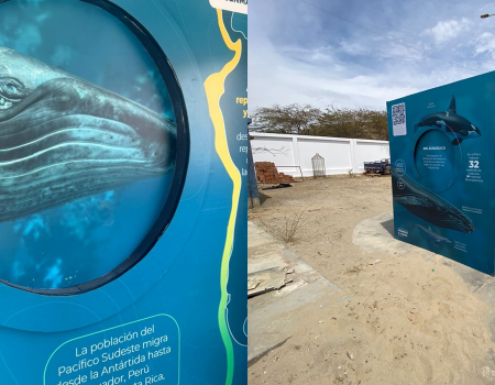 Centro de Interpretación promueve la conservación marina en Los Órganos - Perú