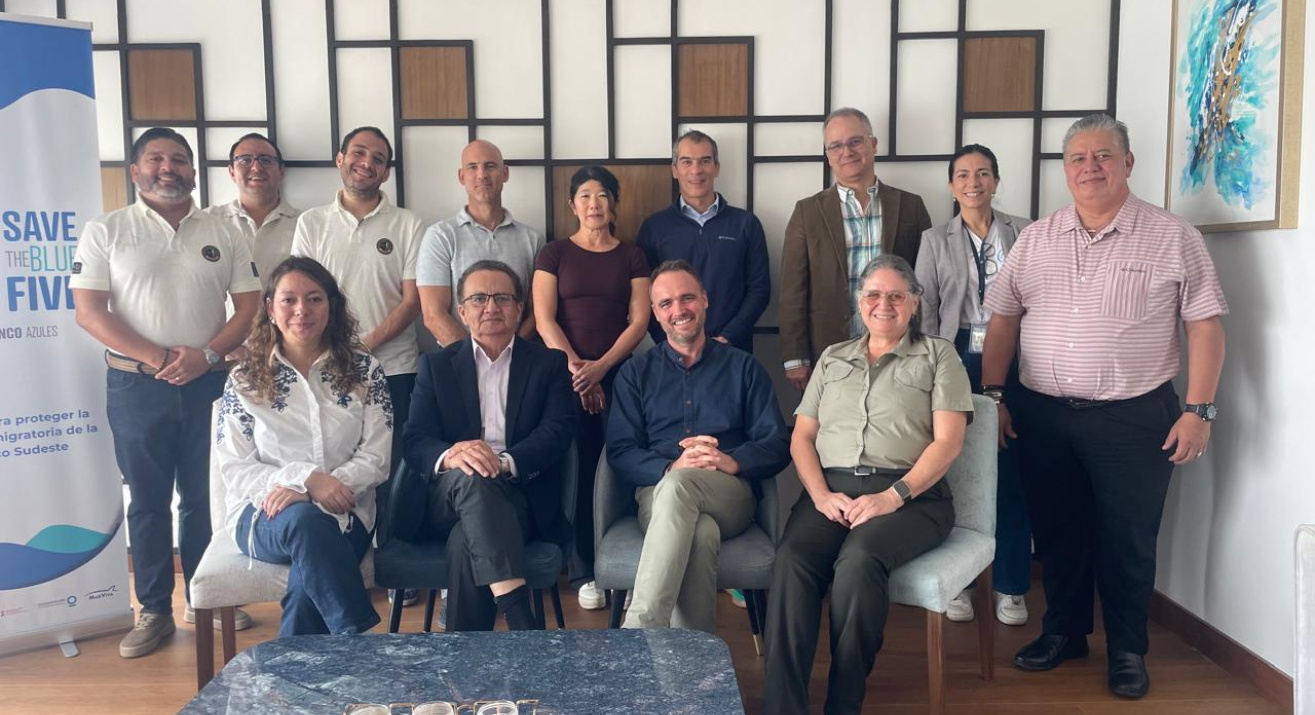 Quinta reunión del Comité Regional de Conducción Save the Blue Five 