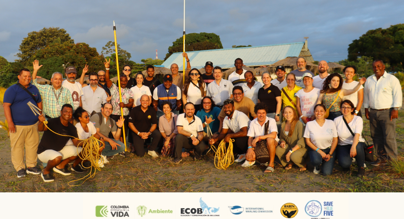 Capacitación para la Protección de Mamíferos Marinos en Colombia: Taller Teórico-Práctico sobre Enmallamientos y Varamientos