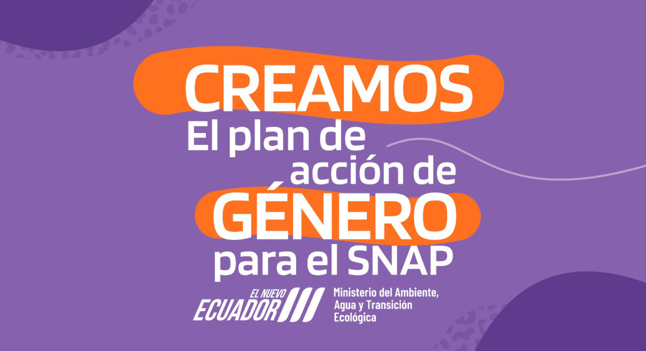 Arte SNAP Portada