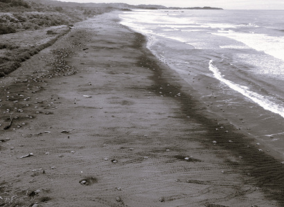 Fotografía con dron, arribada tortuga lora en playa Ostional 