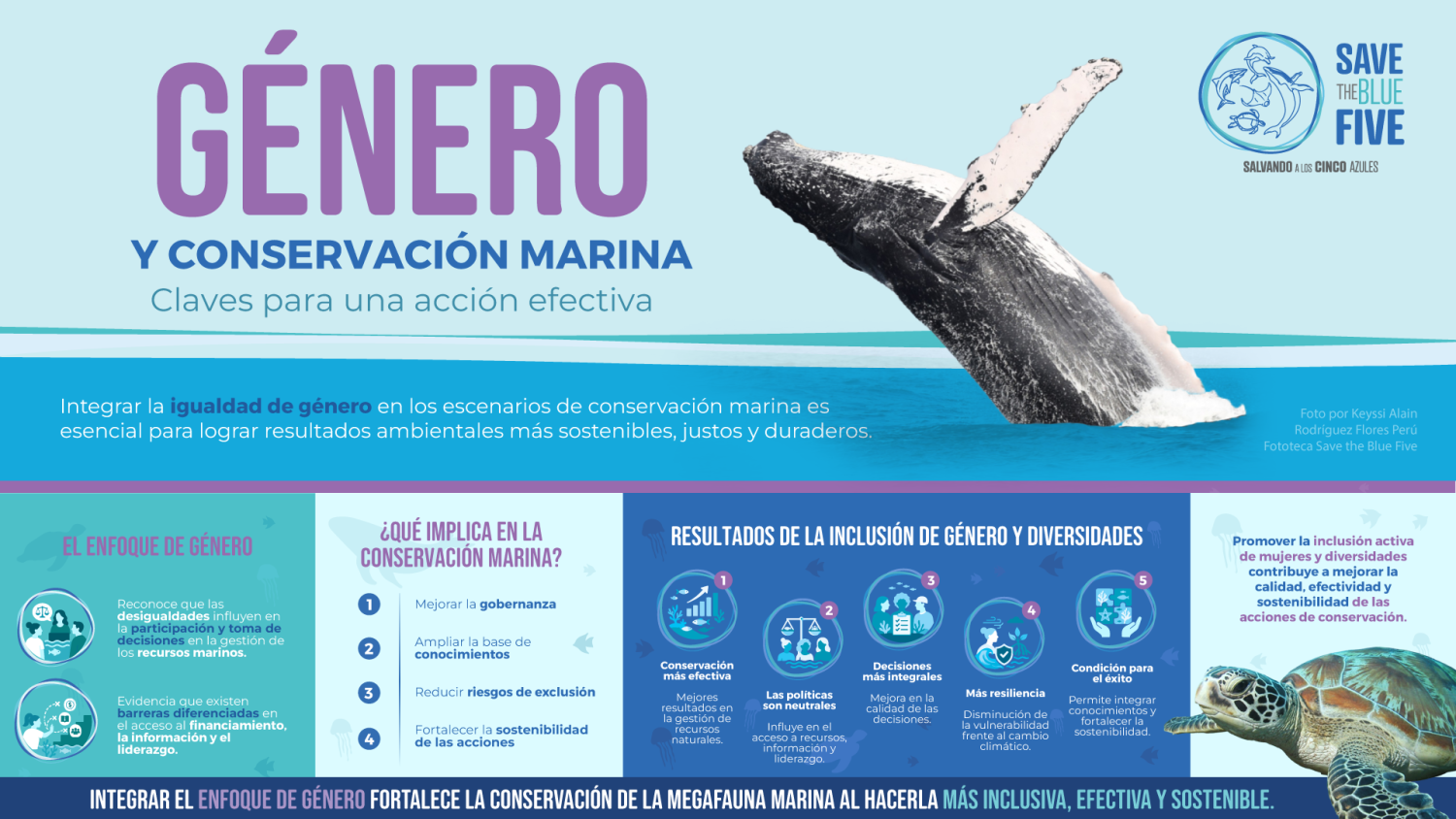 Infografía de género y conservación marina