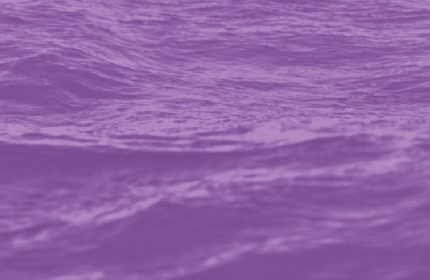 Fondo del océano color rosado