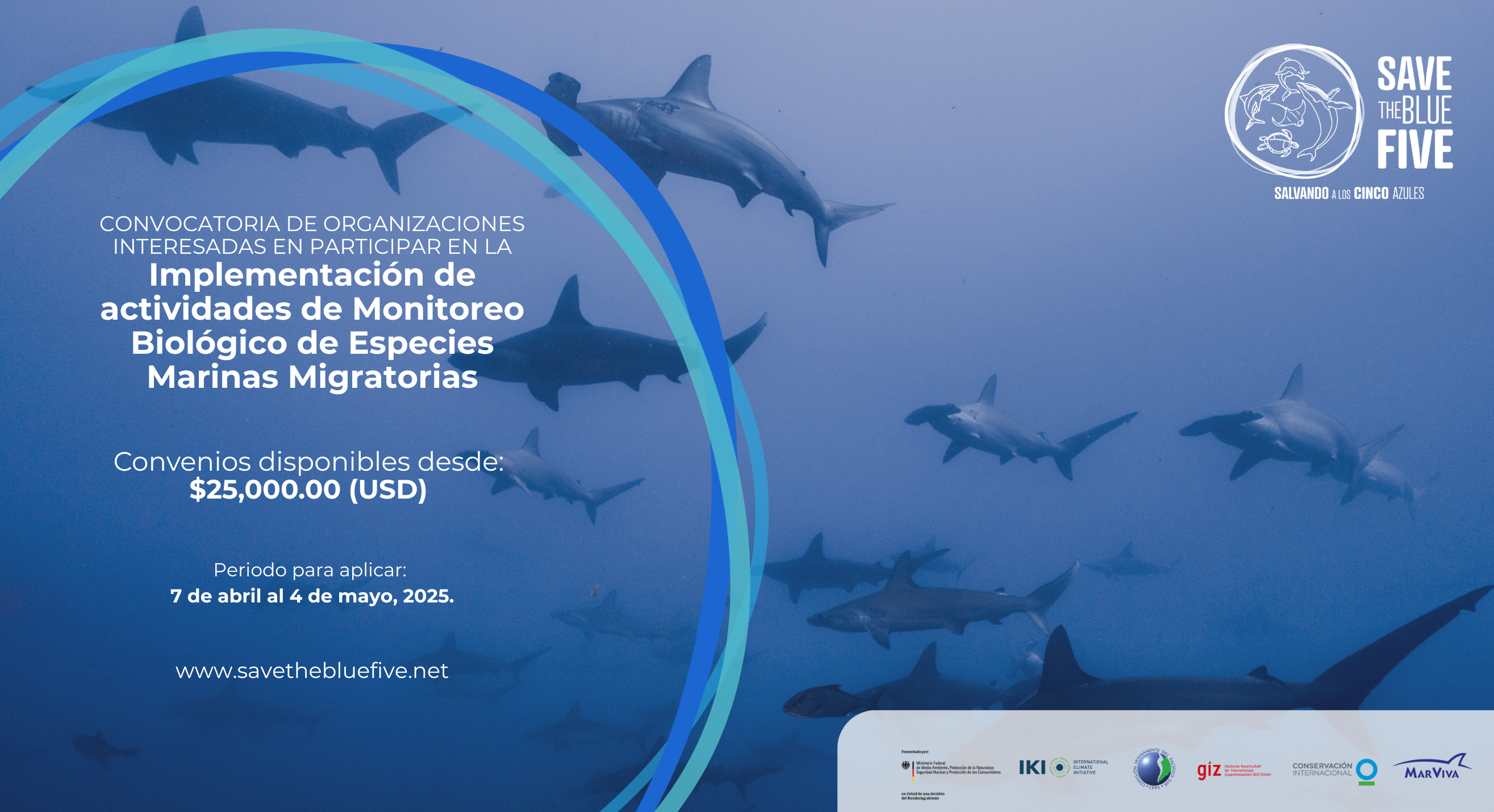 Información de convocatoria