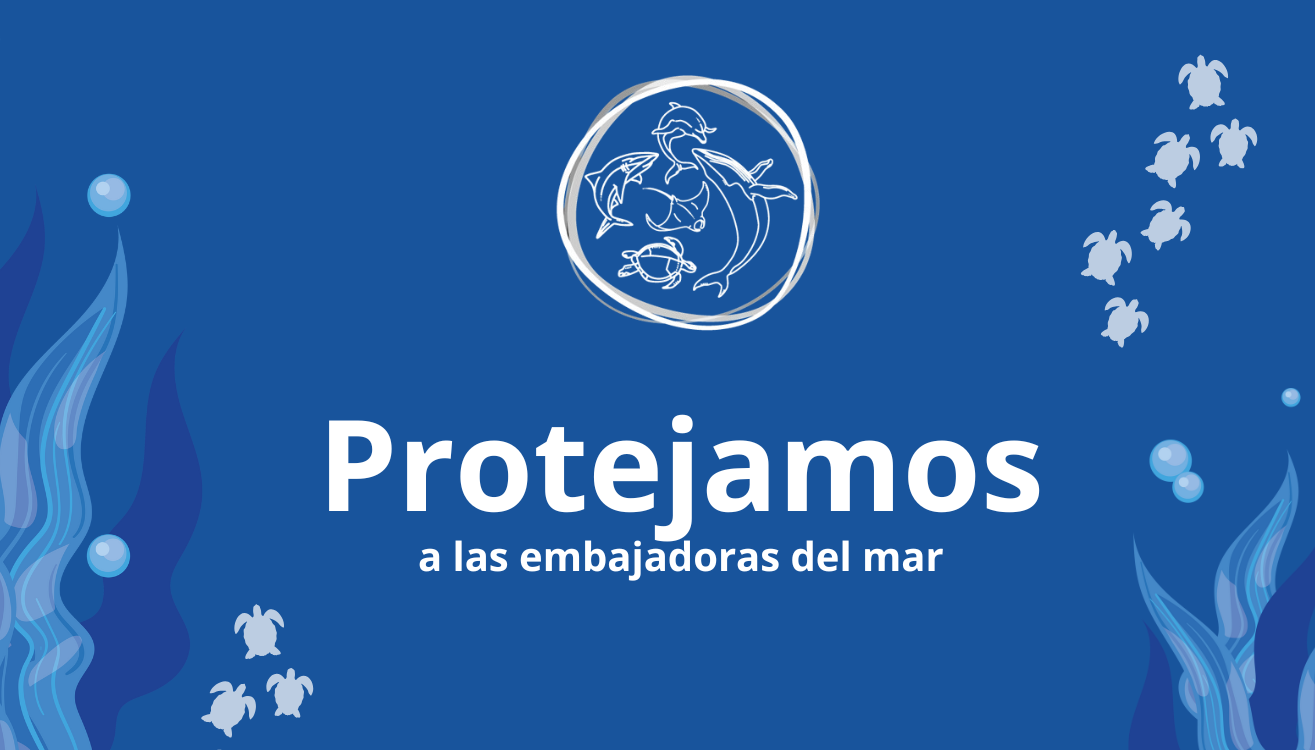 Protejamos a las embajadoras del mar