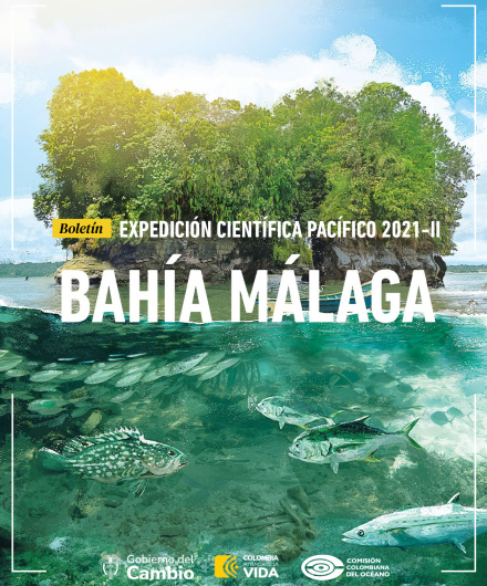 72. PACIFICO_2021-II.pdf
