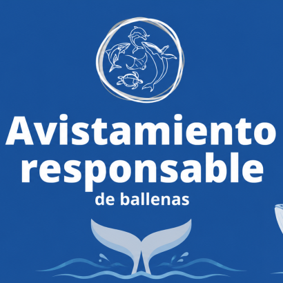 Avistamiento responsable de ballenas