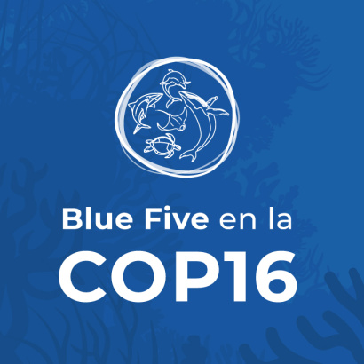 Save the Blue Five en la COP16