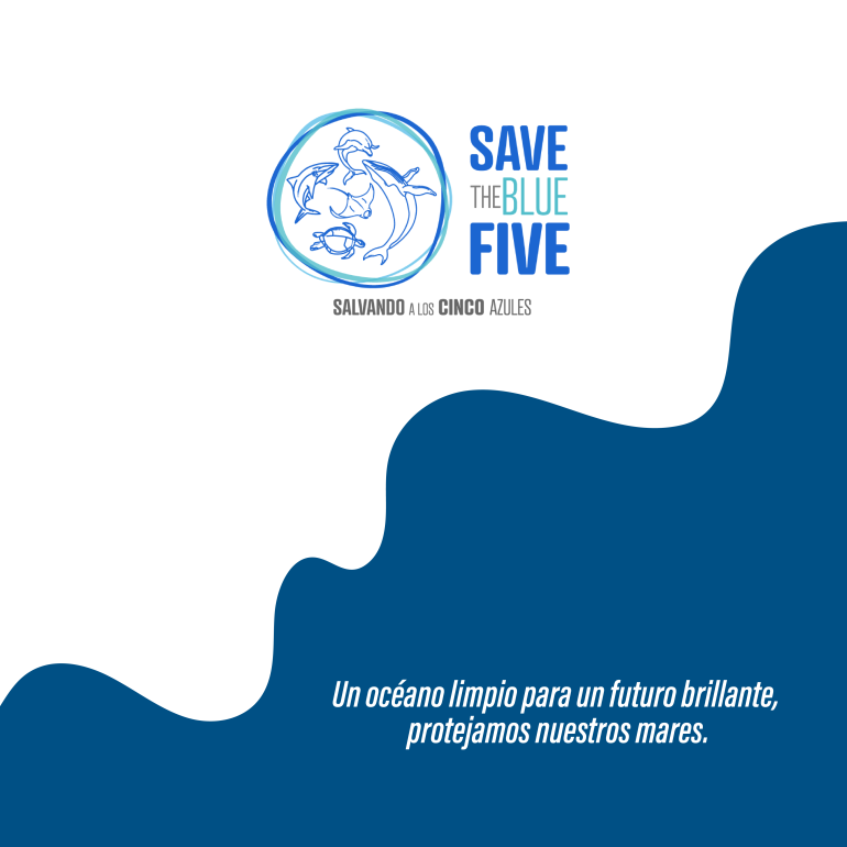 infografía ballena
