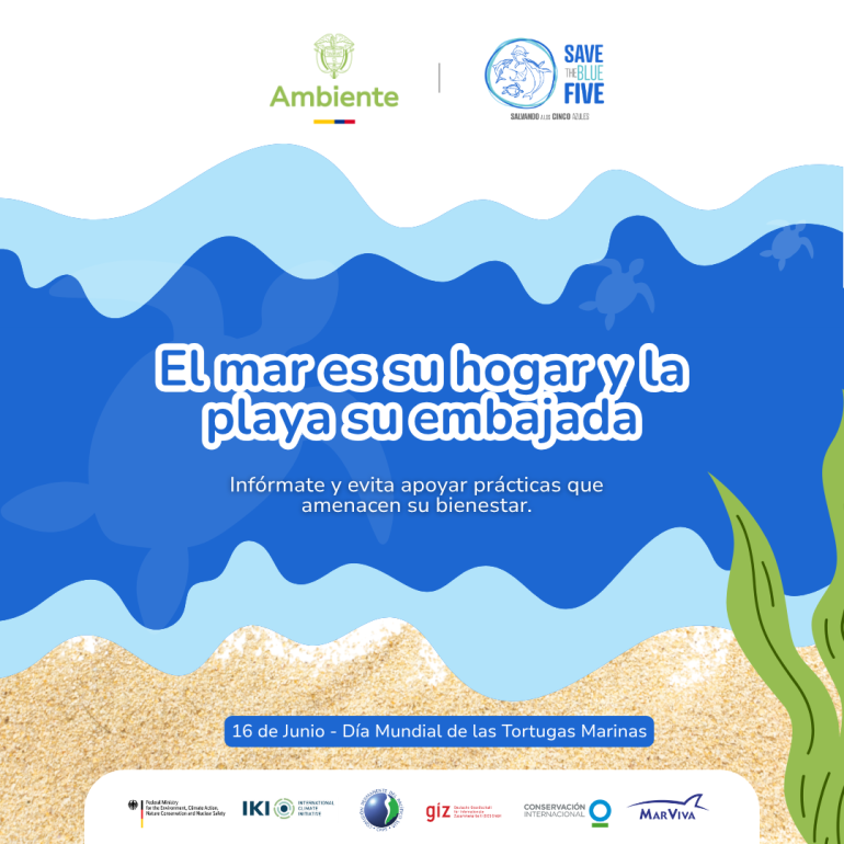 El mar es su hogar y la playa su embajada.
