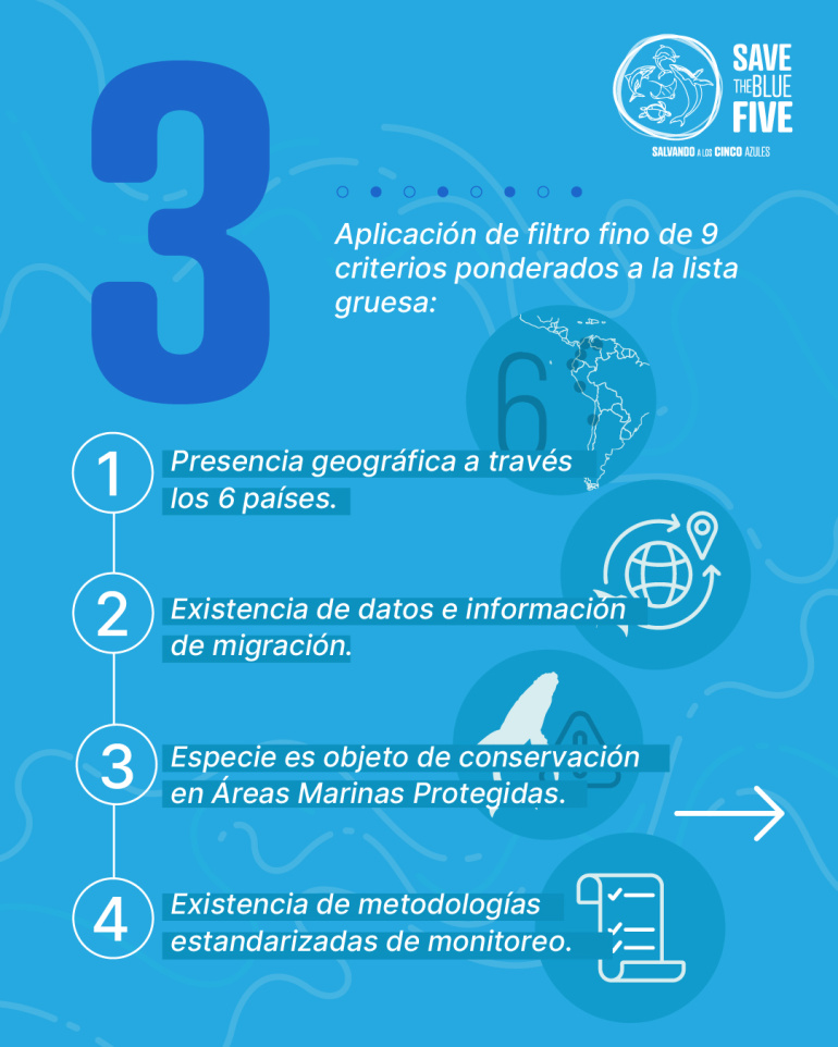 3. Aplicación de filtro fino de 9 criterios ponderados a la lista gruesa. 