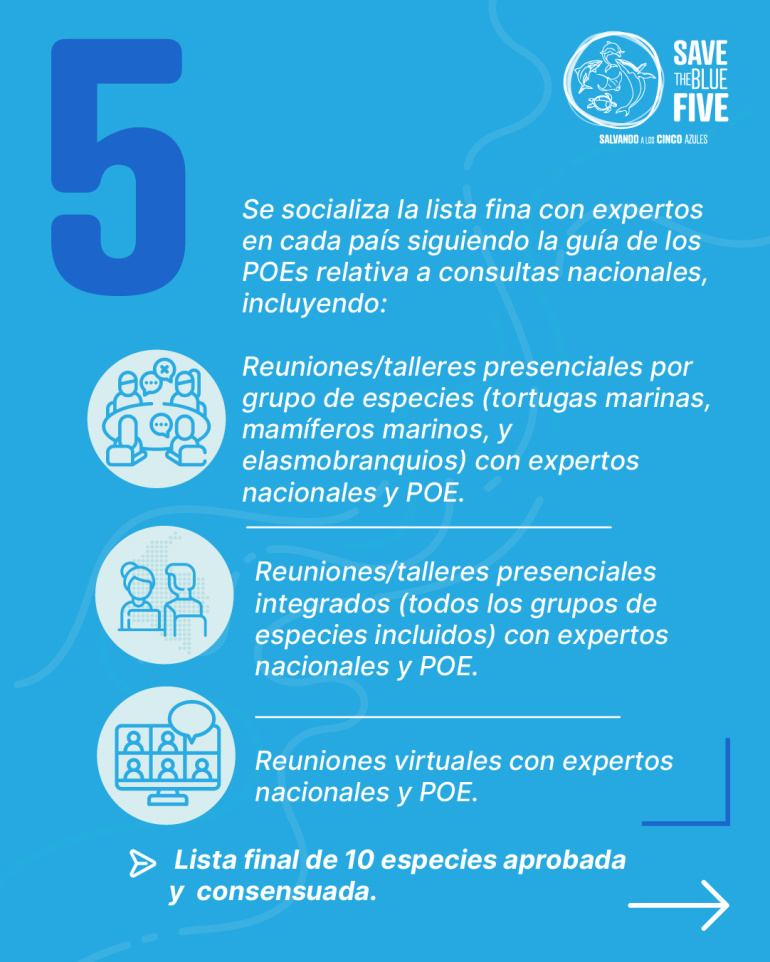 5. Se socializa la lista fina con expertos de cada país.