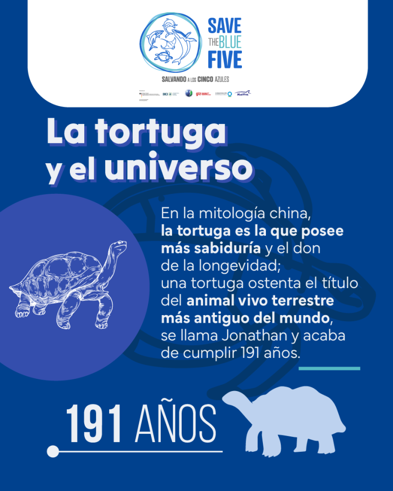 flyer sobre la longevidad de las tortugas
