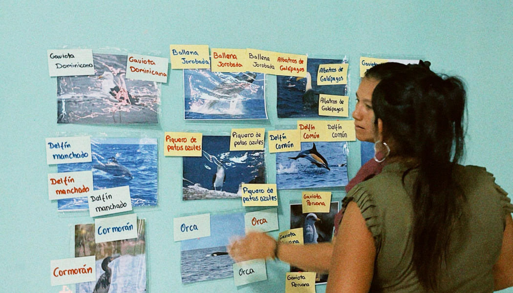 1er taller teórico-práctico titulado “Guardianas del Mar: Conociendo a los Cinco Azules” para un grupo de mujeres de la comunidad pesquera de El Ñuro