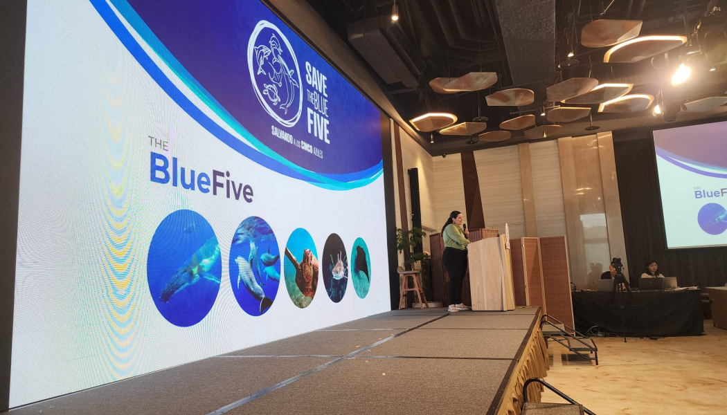 Participación de Save The Blue Five en Species on the Move