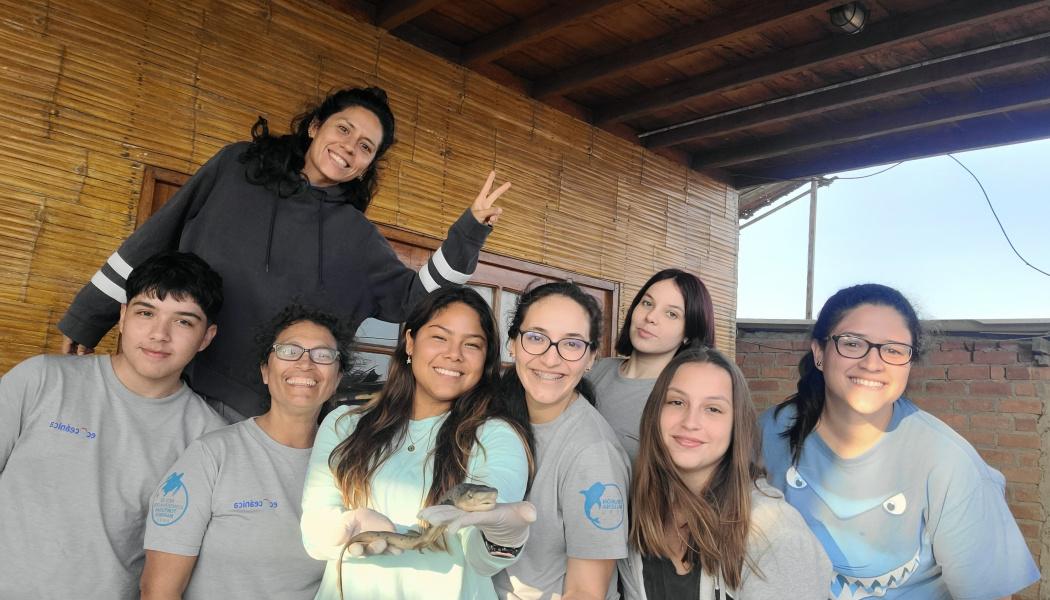 ecOcamp