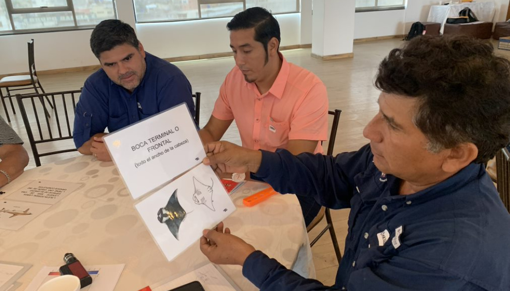 Capacitaciones